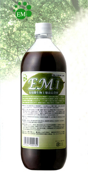 EM1.jpg